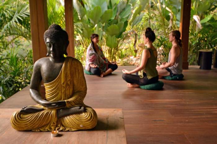 Meditation india yoga retreats retreat