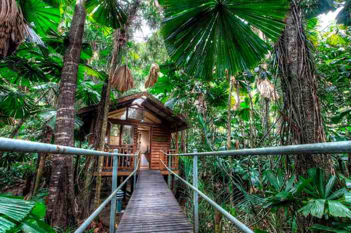 Lodge daintree eco rainforest wilderness lodges world australia resorts top hotels places stay forest hotel cabin tourist queensland accommodation tribulation